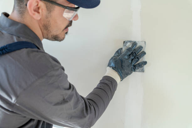 Best Touch-Up Painting Services  in Sykesville, MD